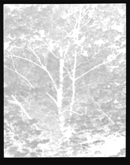 Cibachrome contrast masking example.