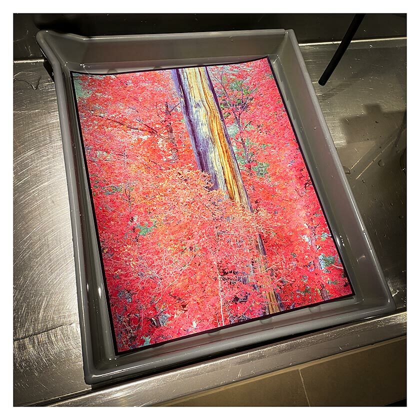 A Cibachrome print