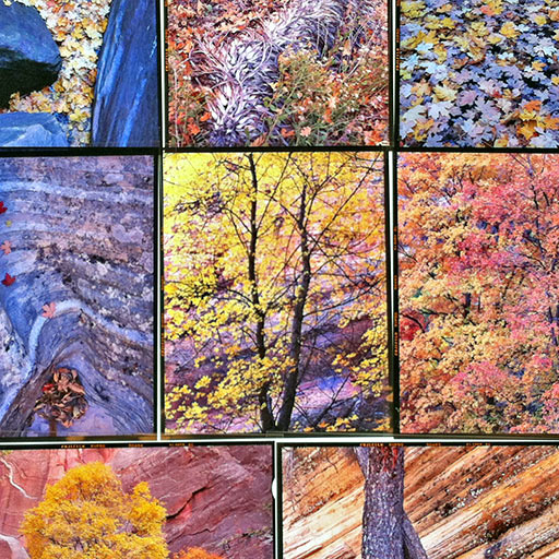 Film originals on light table