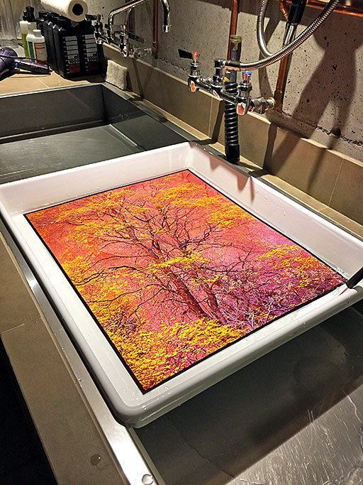 Cibachrome print pulled from JOBO processor