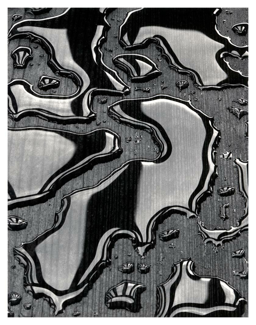 Polaroid Type 52 4x5 Print
