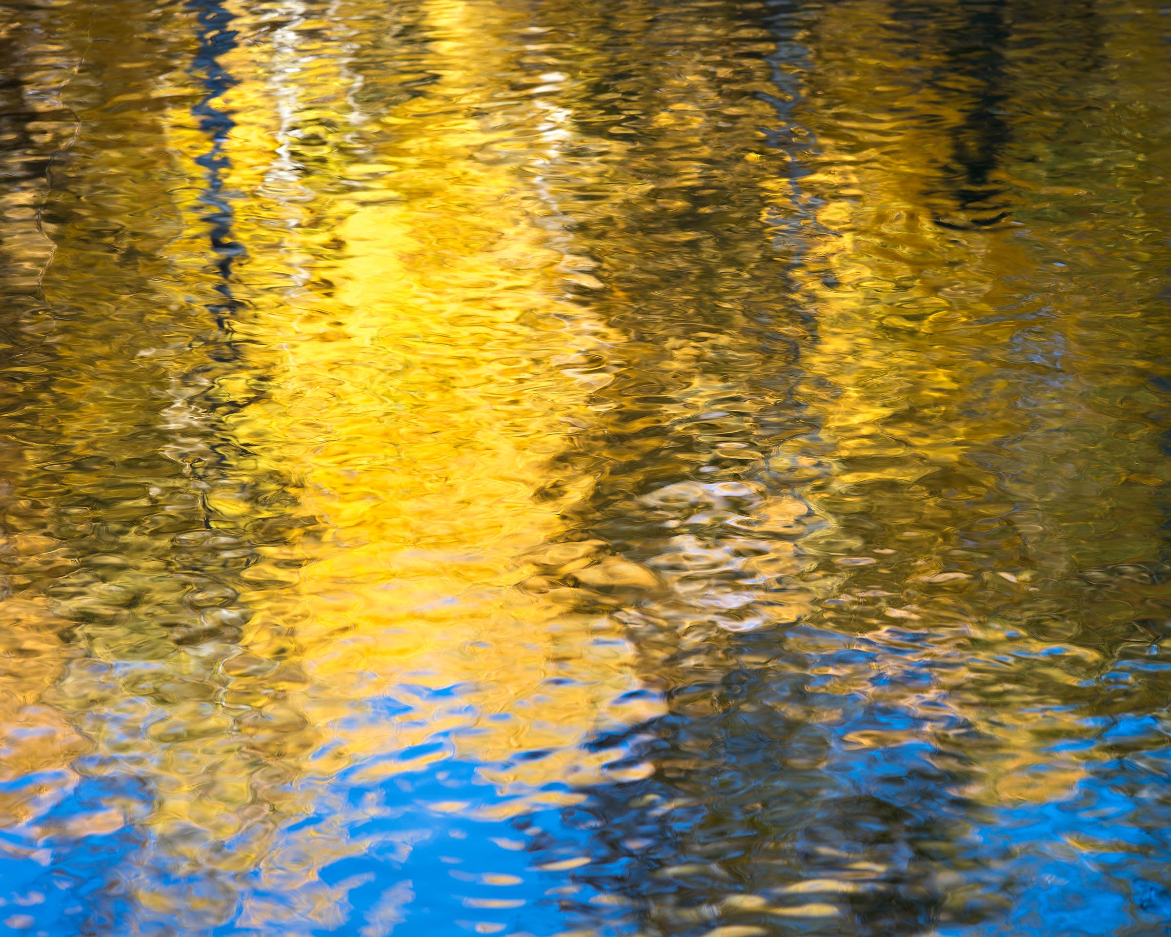 Aspen Reflections