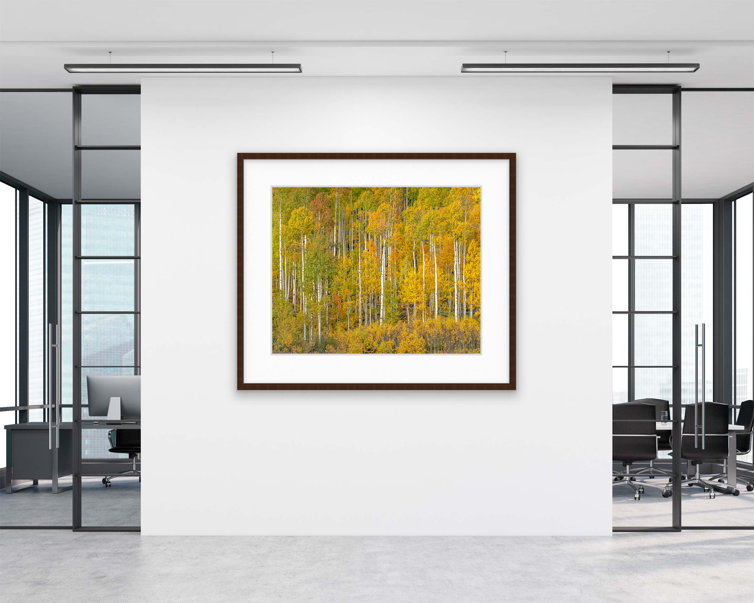 Aspens at Dusk