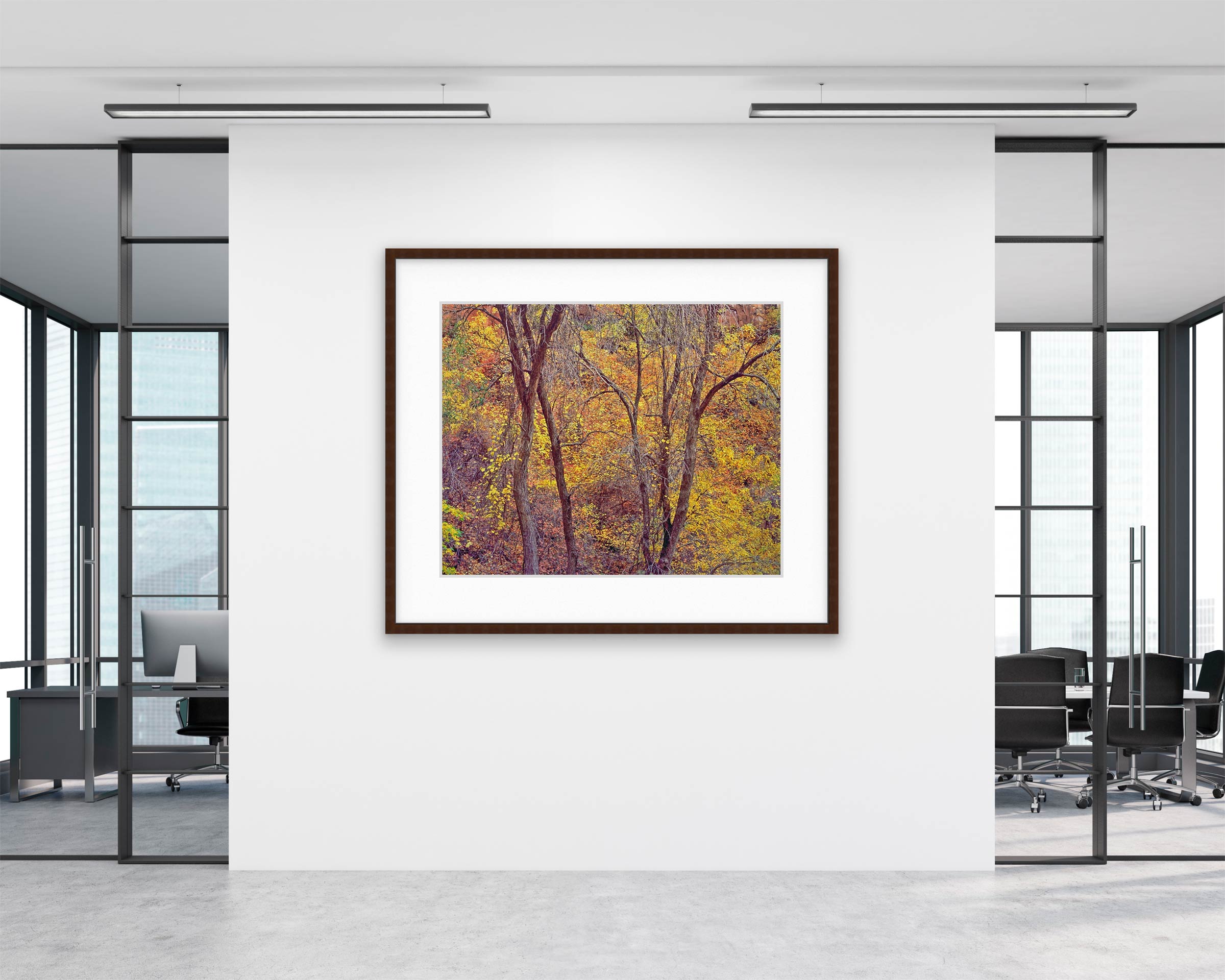 Bare Trees and Foliage