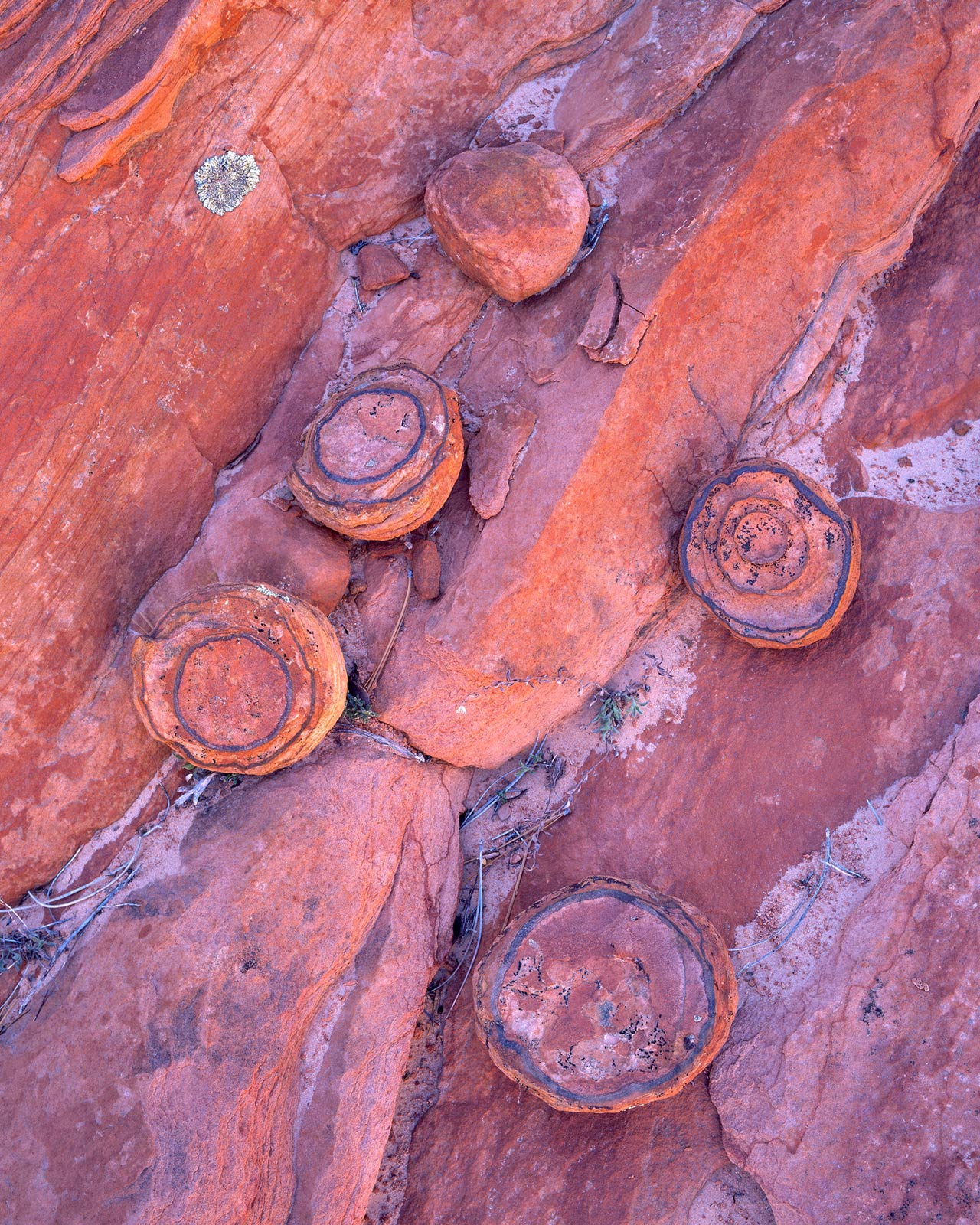 Concretions
