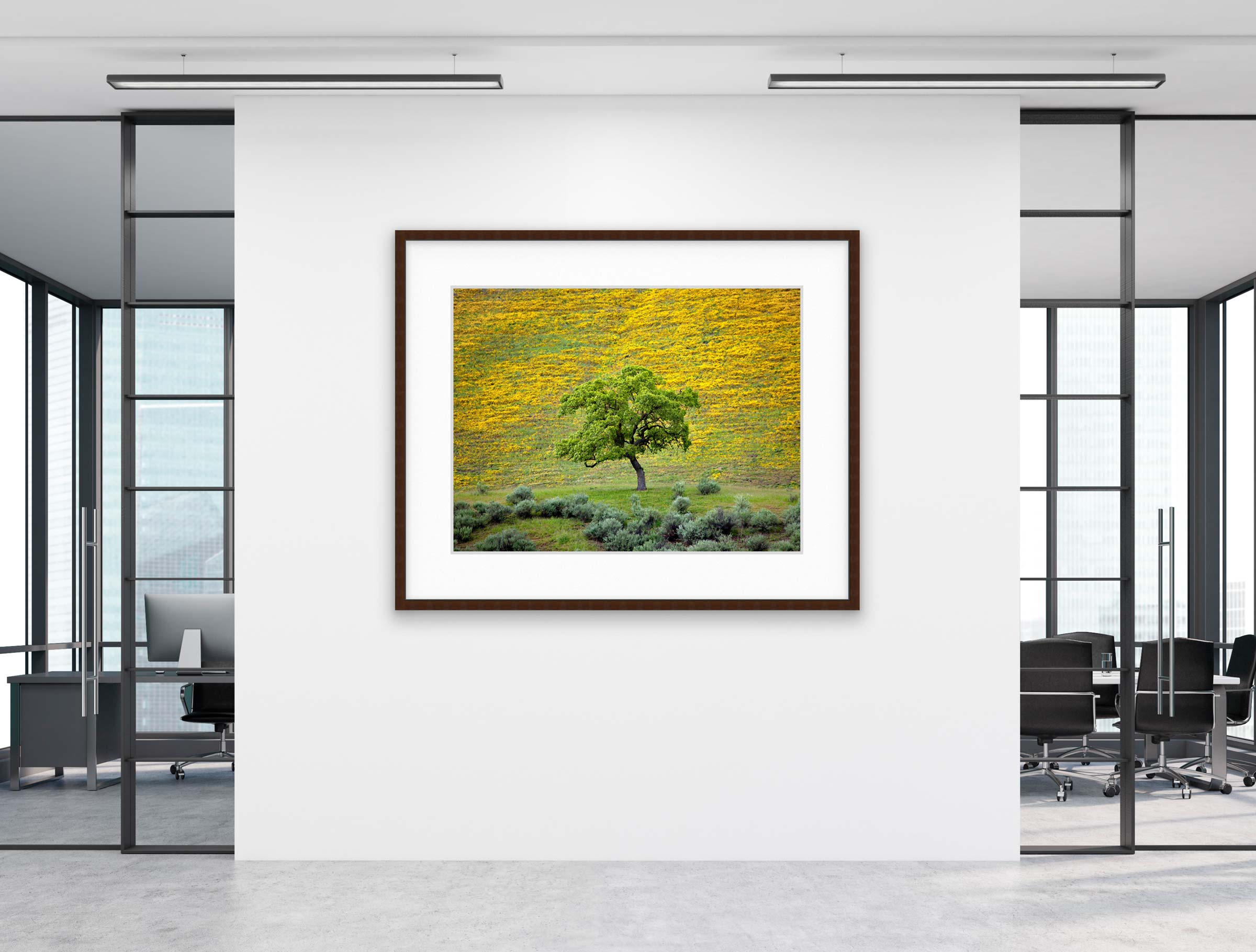 Hillside Oak
