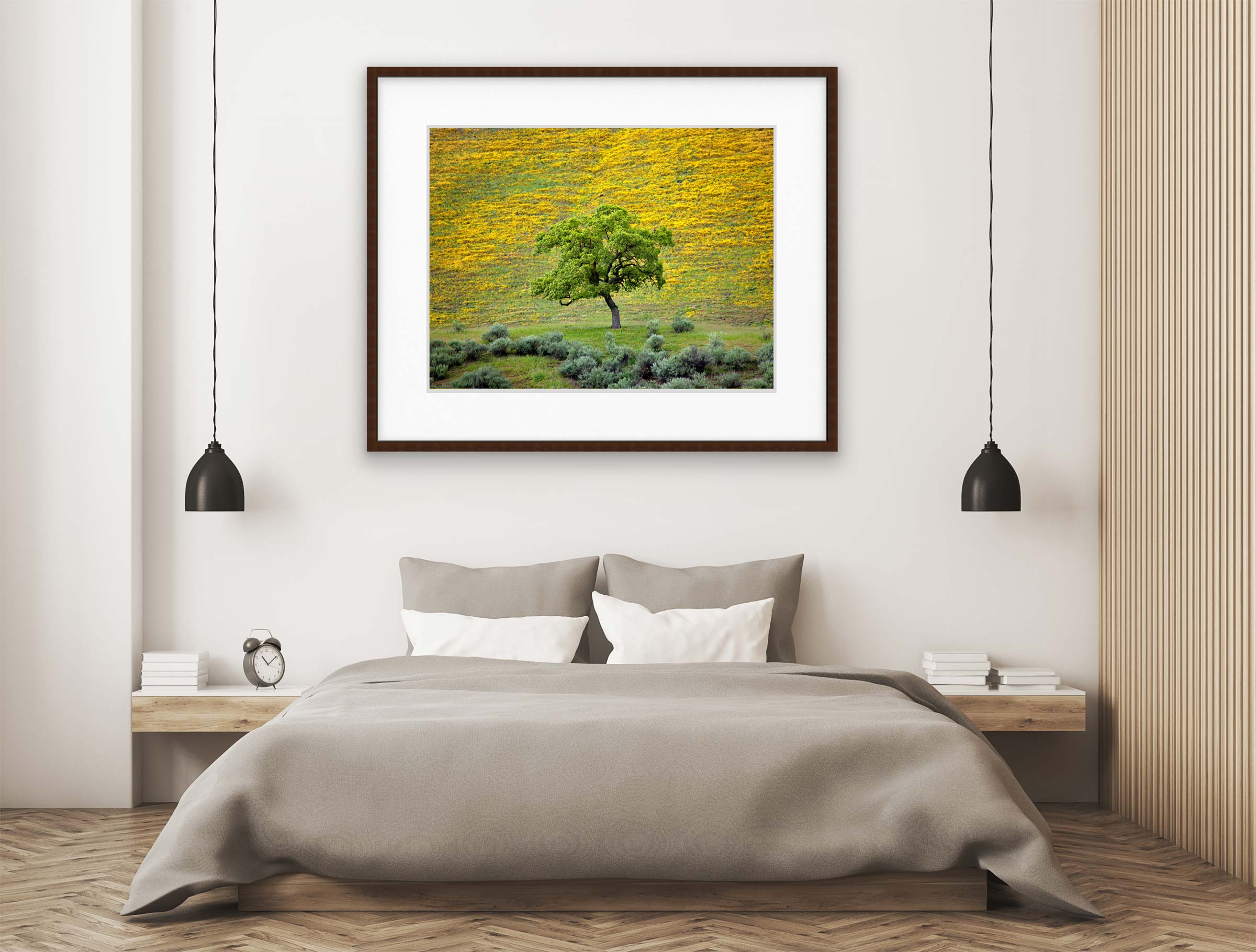 Hillside Oak