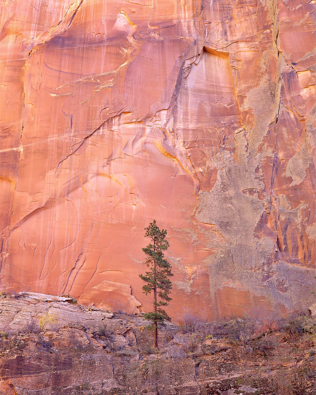 Lone Pine