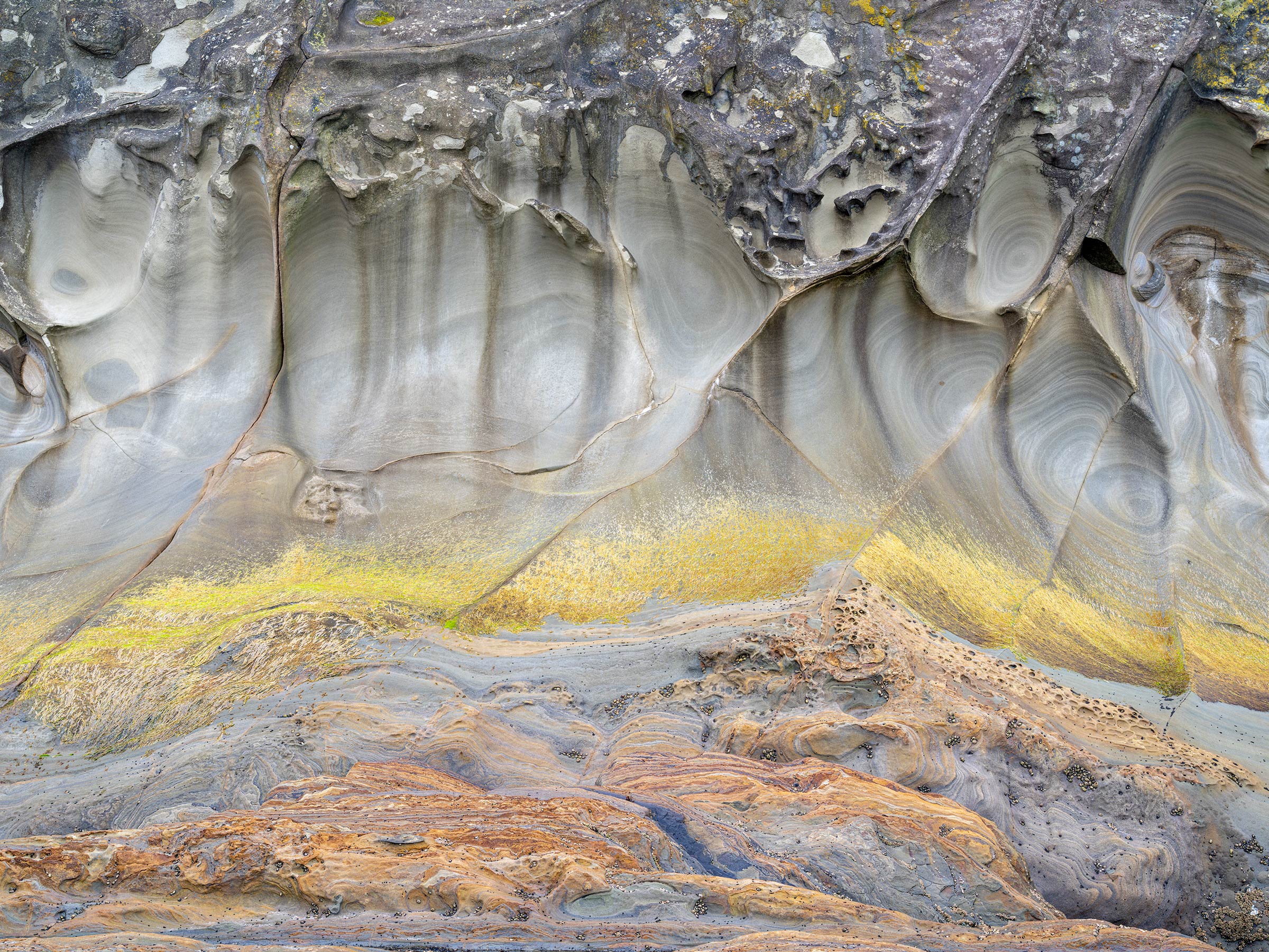 Low Tide