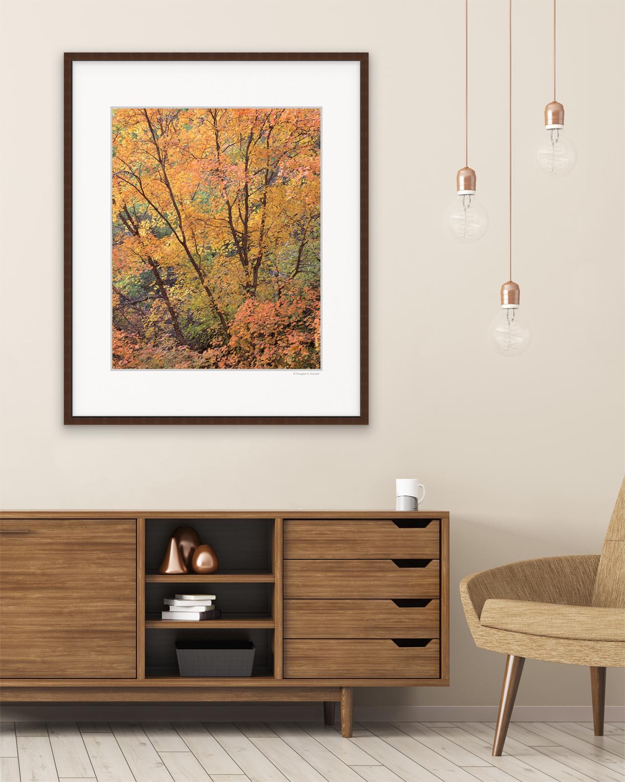 Maple Canopy