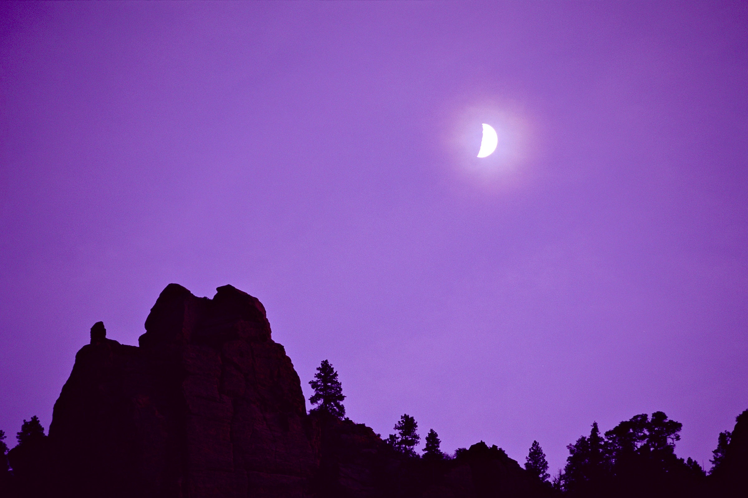 Moonlight Serenade