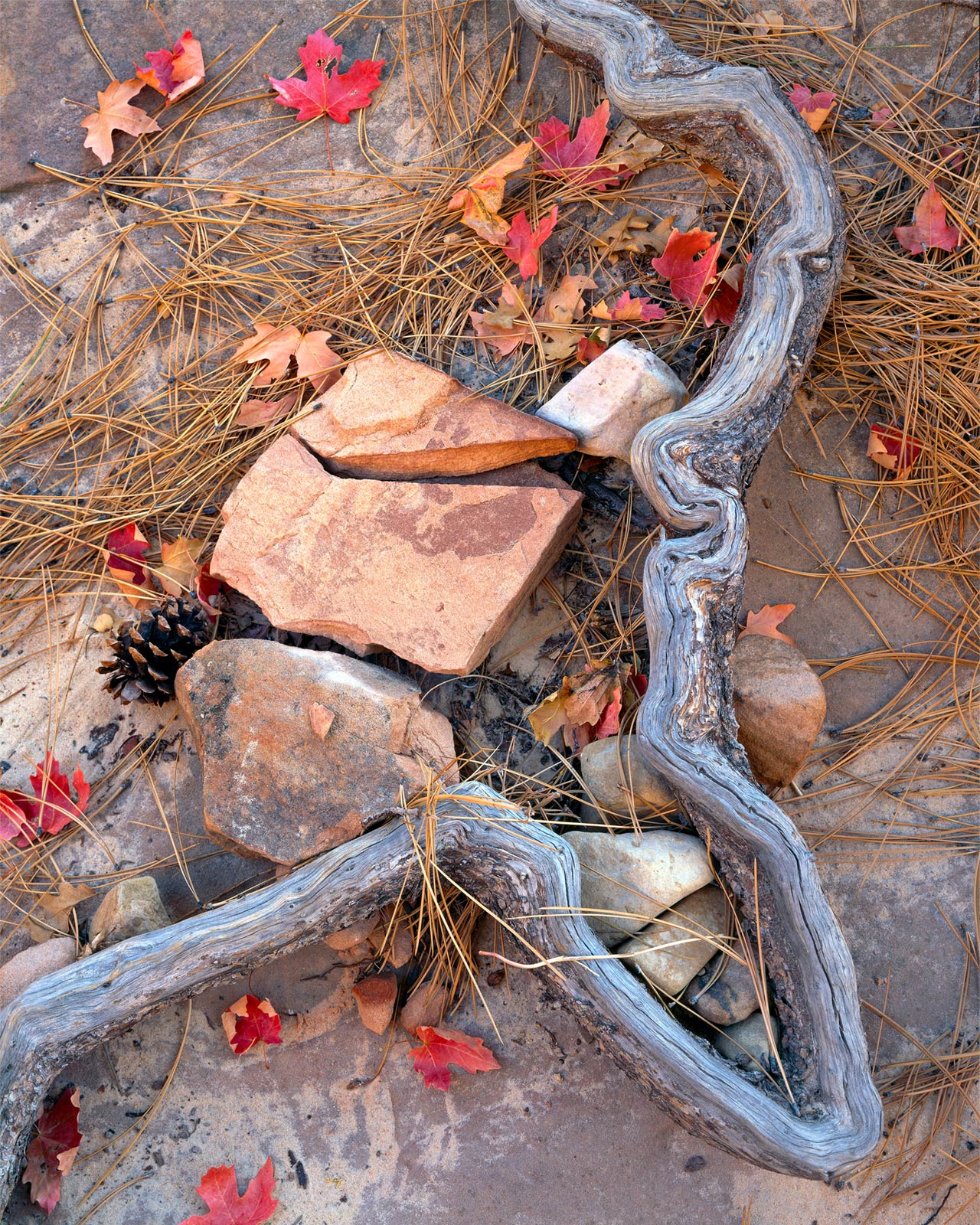 Root Chaos