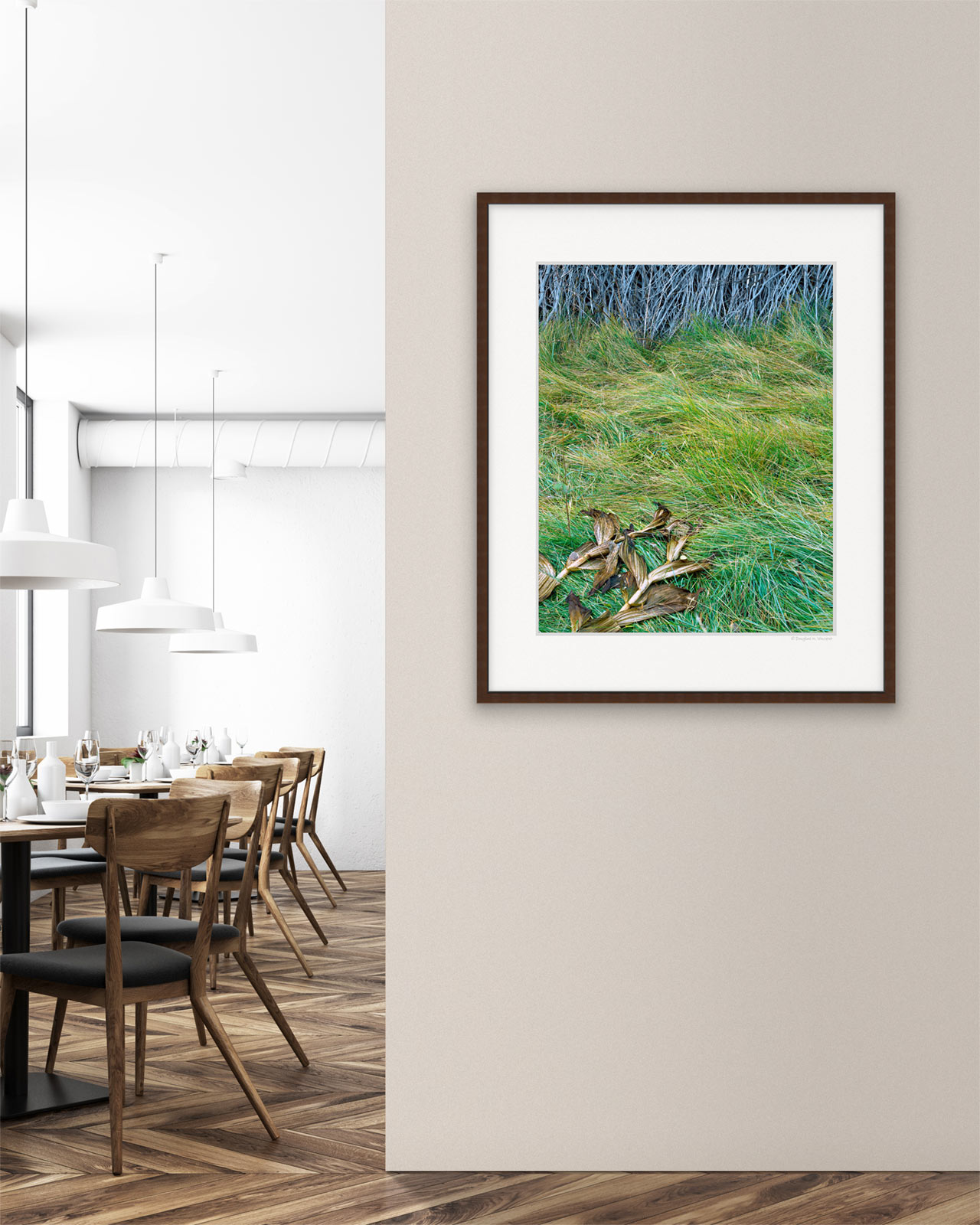 Stalks, Grass, Willows