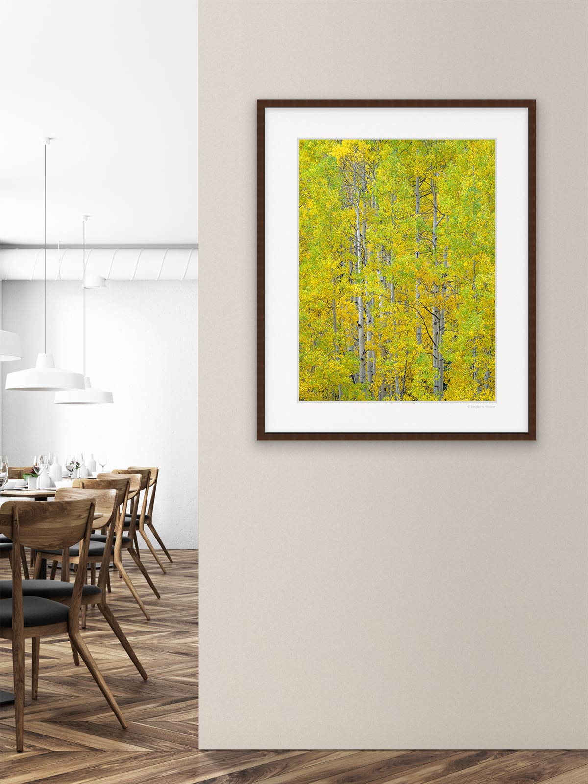 Stately Aspens