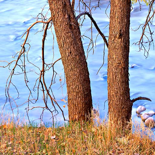 Along the River