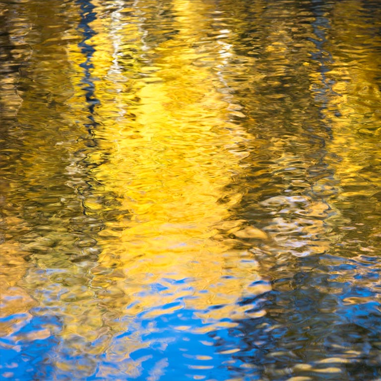 Aspen Reflections