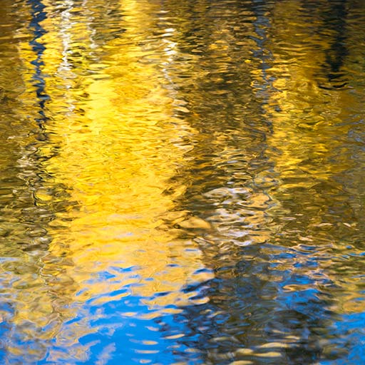 Aspen Reflections