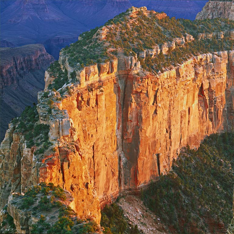 Cape Royal