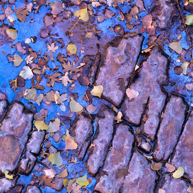 Zion National Park - Autumn II