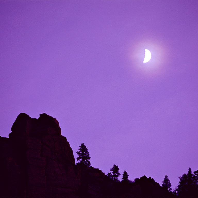 Moonlight Serenade