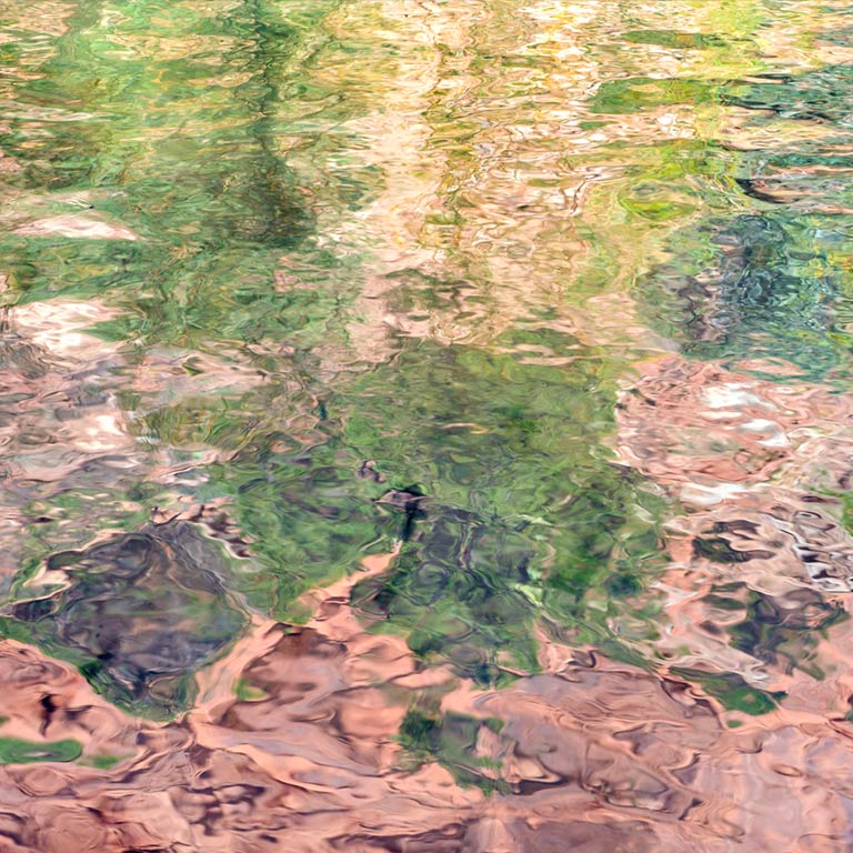 Reflections #4