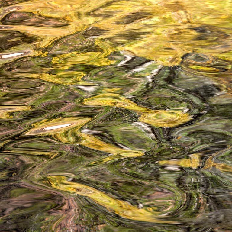 Reflections #5