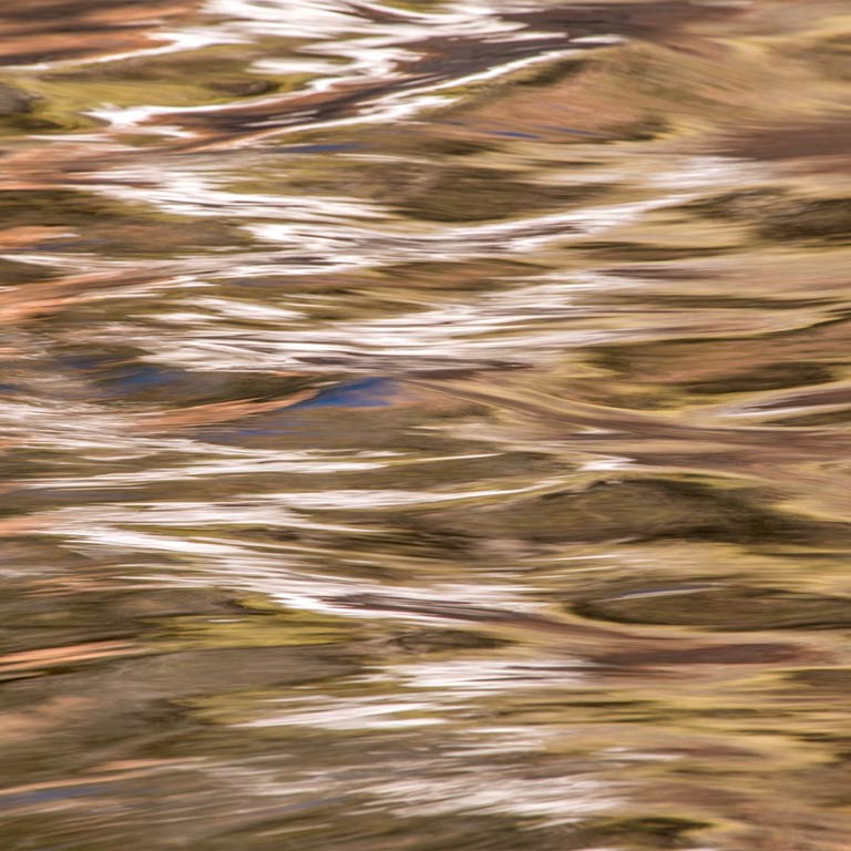 Reflections #8