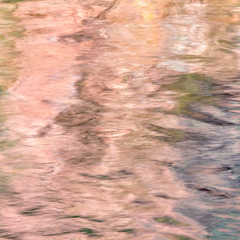 Reflections #12