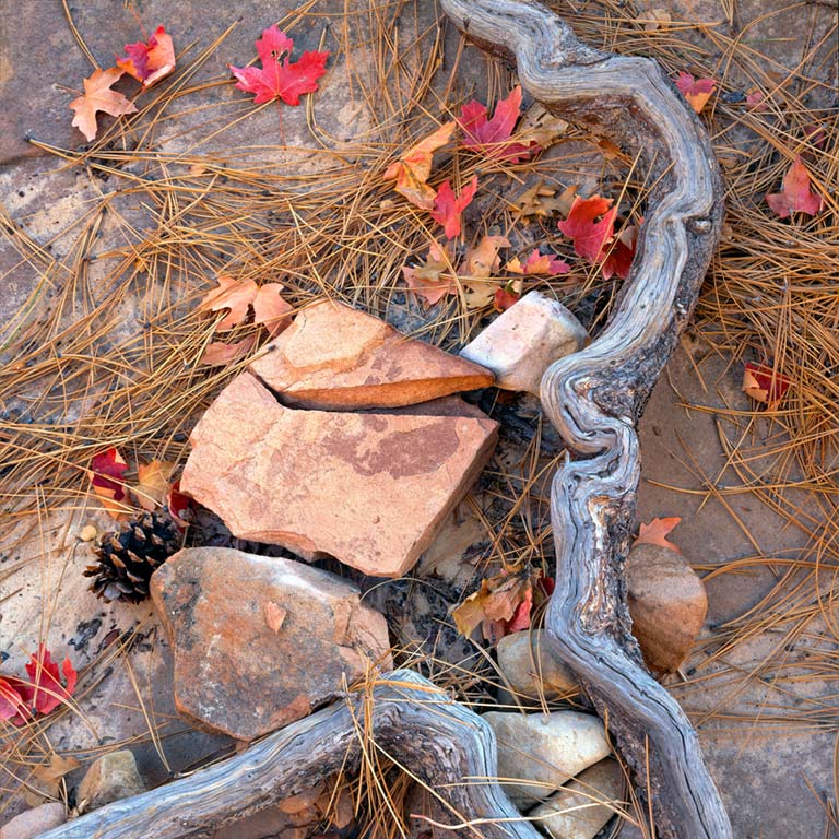 Root Chaos