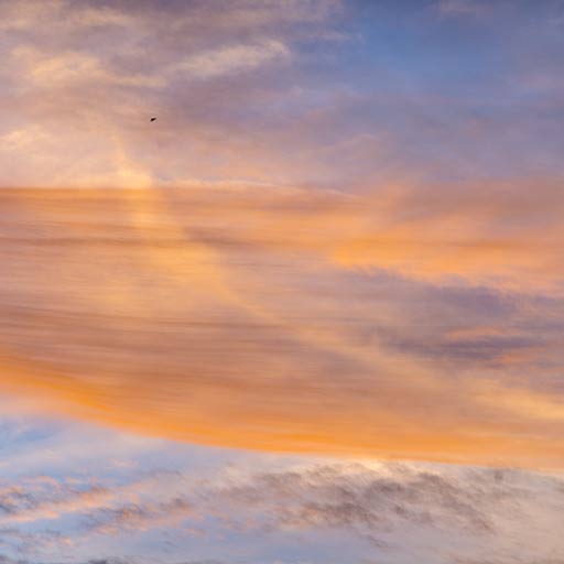 Swooping Cloud & Bat
