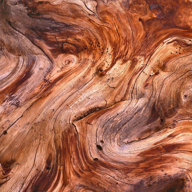 Wood Topography