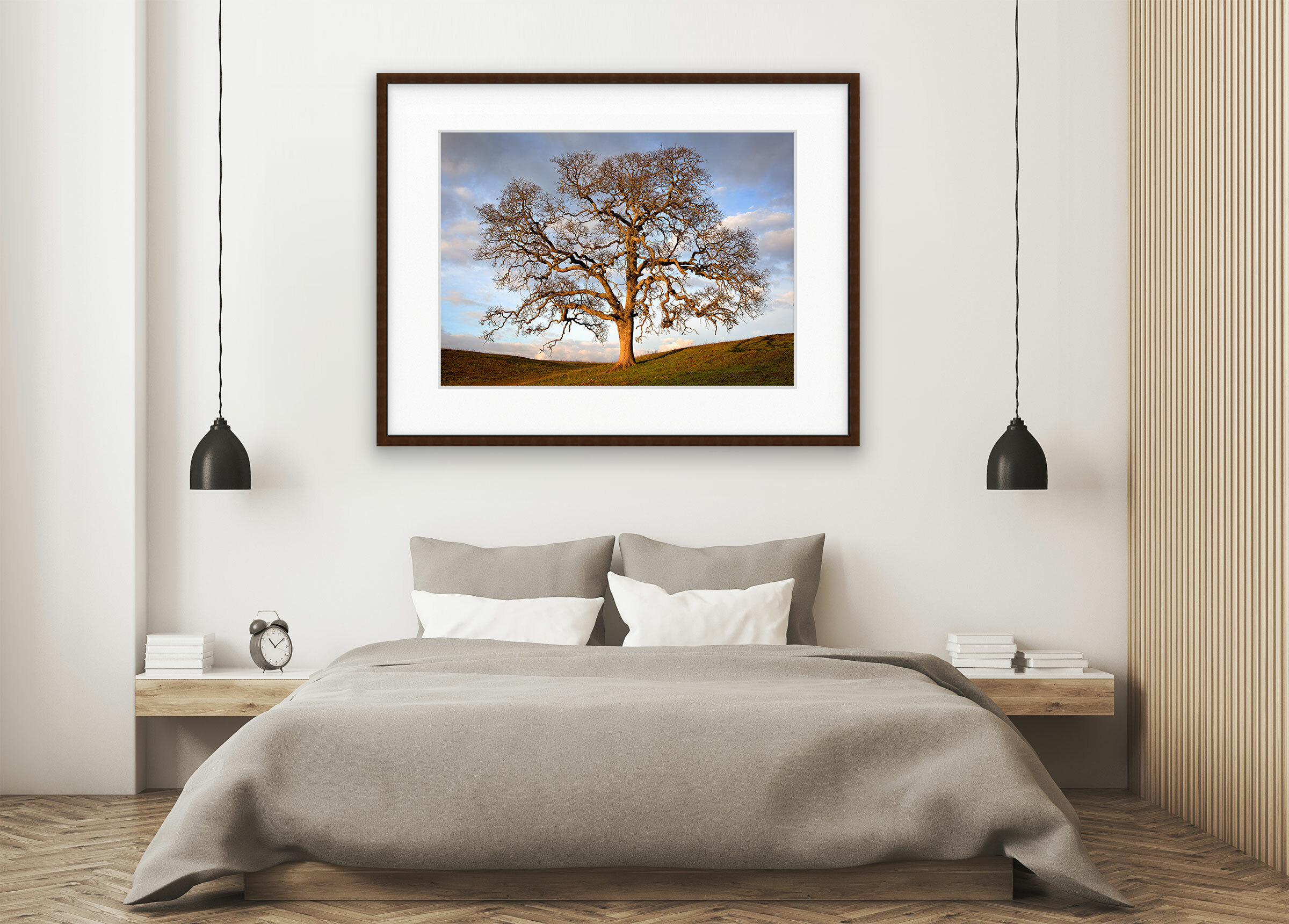 Winter Oak at Sunset